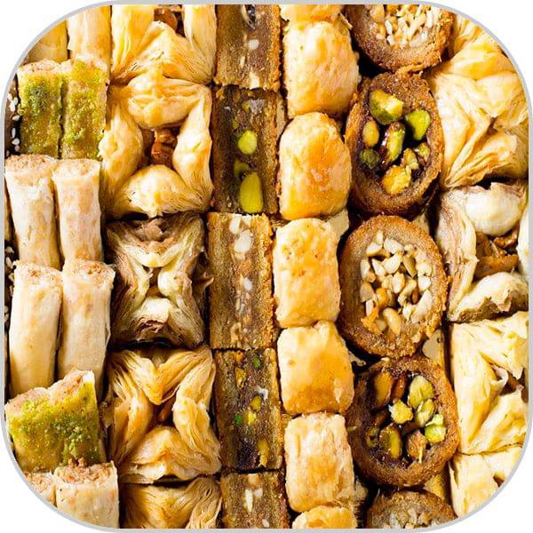 photo_2025-11-17_17-22-43